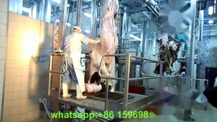 Equipamento de abate de gado para matadouro Máquina de processamento de carne para venda